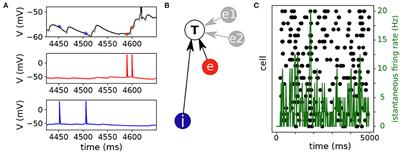A multi-class logistic regression algorithm to reliably infer network connectivity from cell membrane potentials